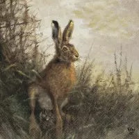 Portrait of Hare - Luncheon Napkin