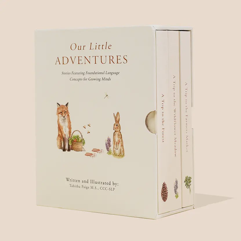 Our Little Adventures Box Set For Kids (3 Board Books)
