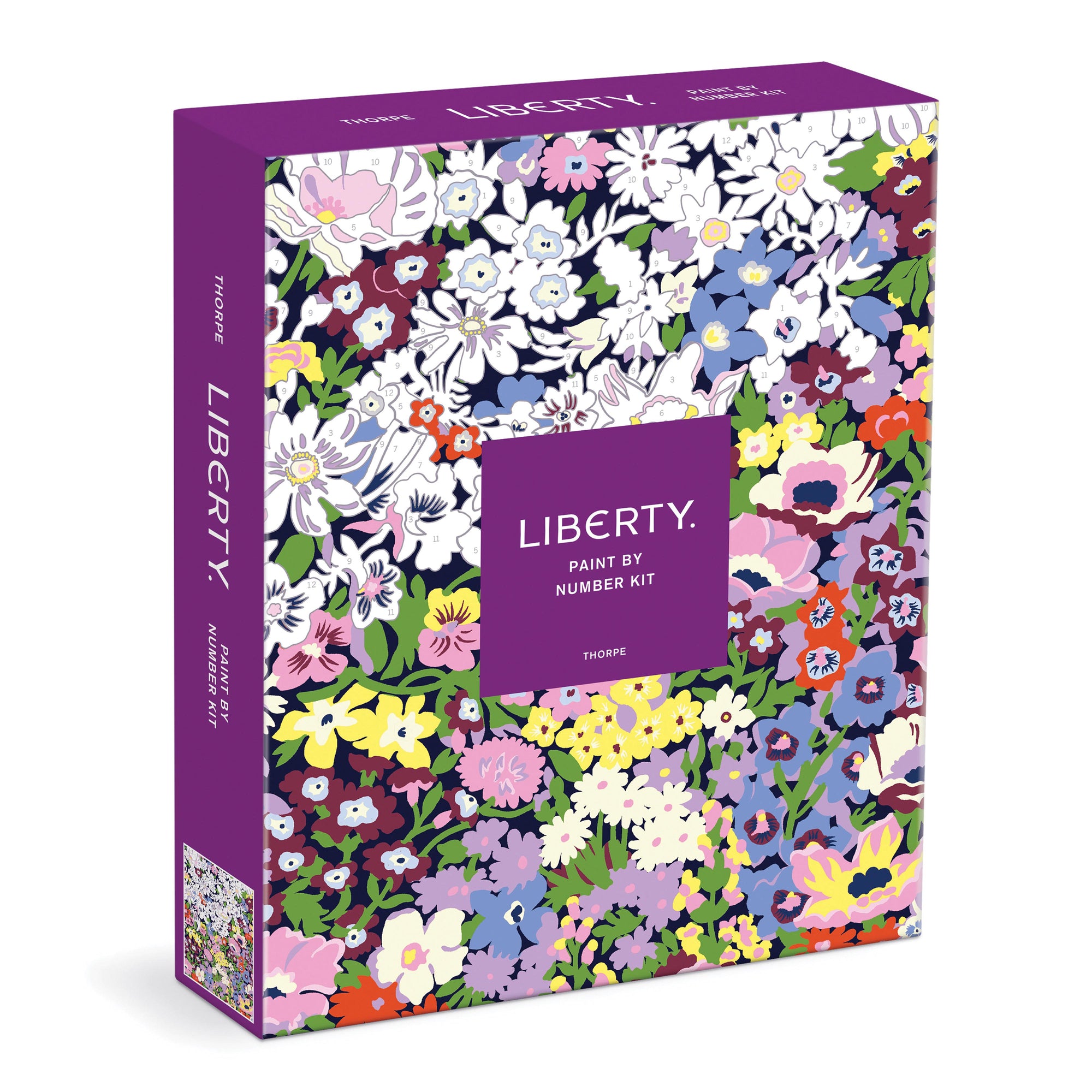 Galison Liberty Thorpe Paint By Number Kit Multi-Coloured