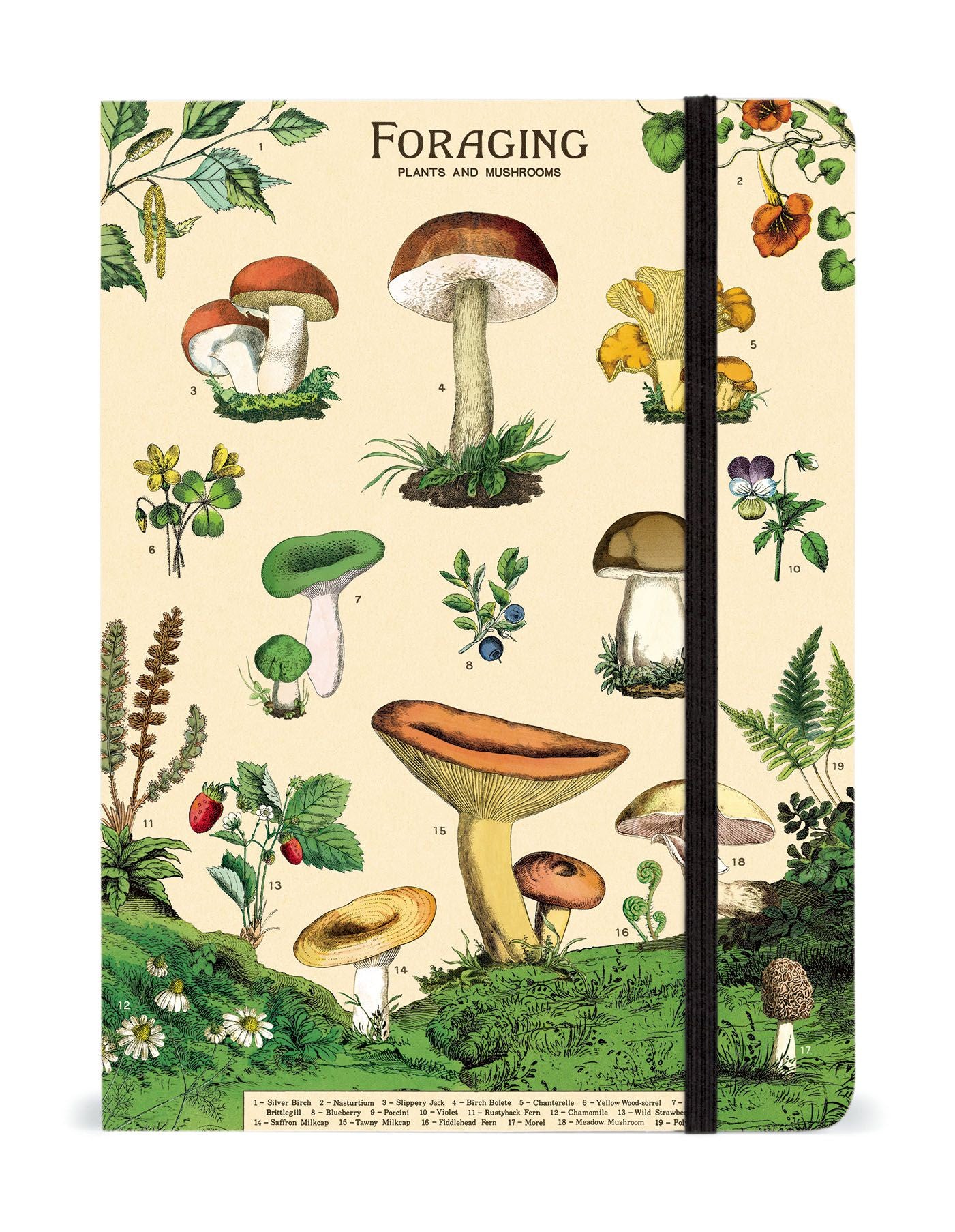 Cavallini & Co Notebook Large -Foraging