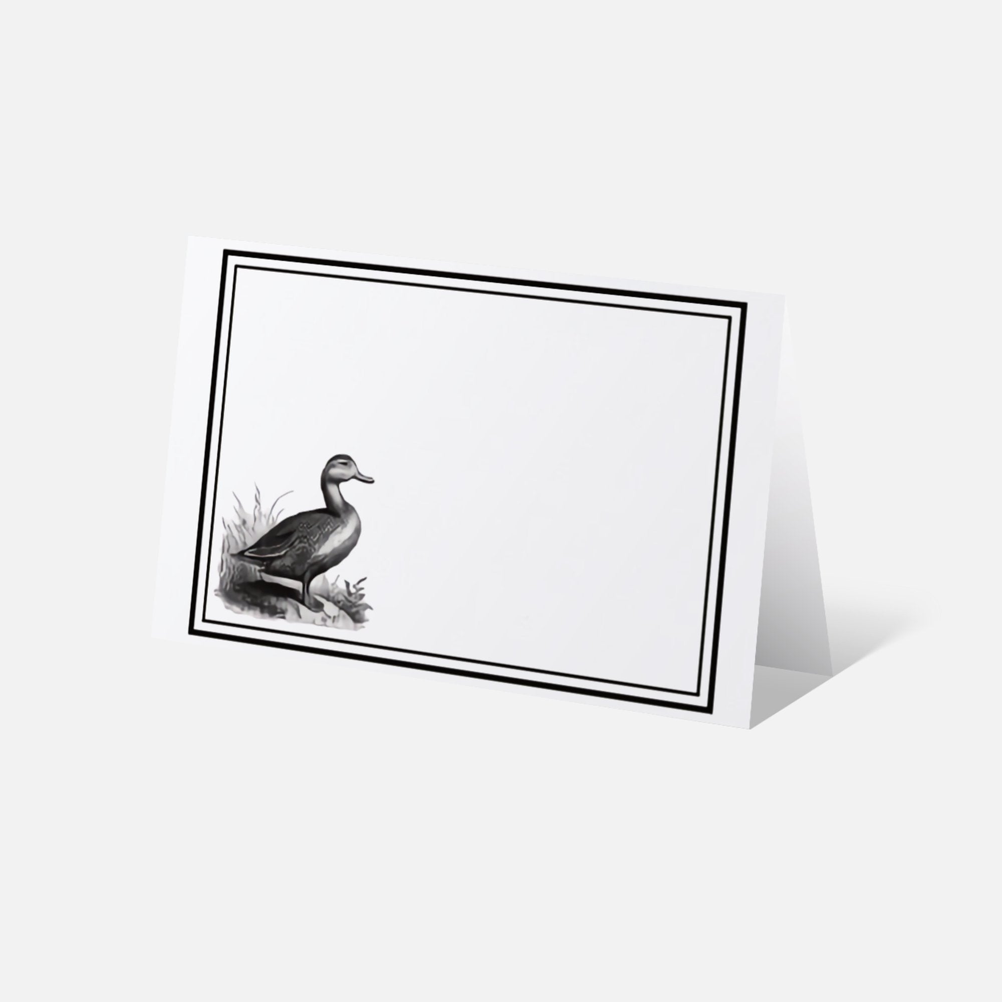 Byron and Yorke Placecards Duck 90pk