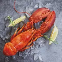 Fresh Lobster - Luncheon Napkin