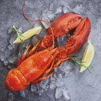 Luncheon Napkin Fresh Lobster