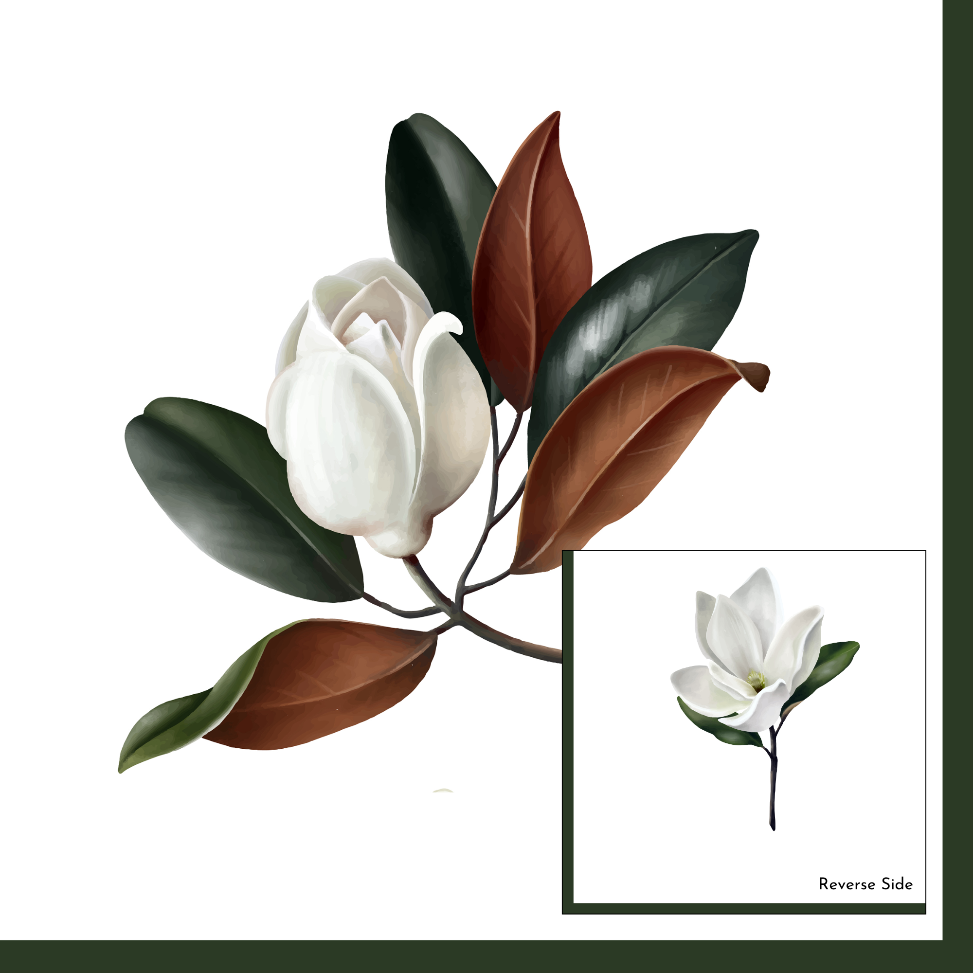 Byron & Yorke Dinner Napkin  Magnolia