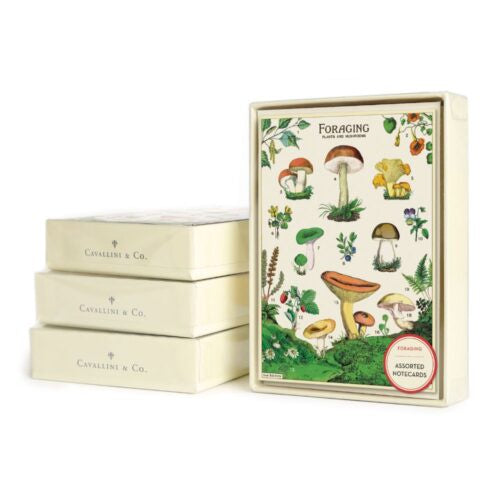 Cavallini & Co Boxed Notecards -Foraging