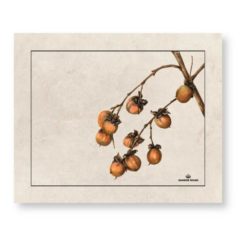 Manor Road Paper Placemats Persimmon 30pk