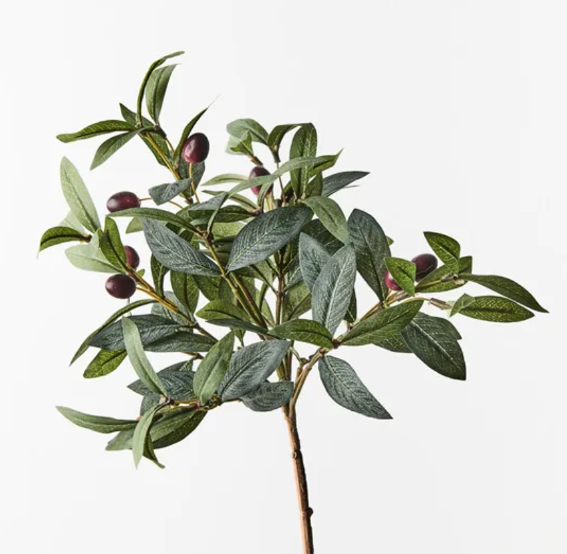 Olive Leaf Spray 40cm