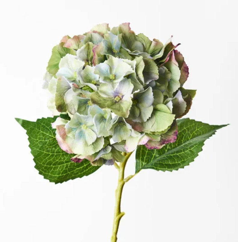 Hydrangea Green Burgundy 52cm