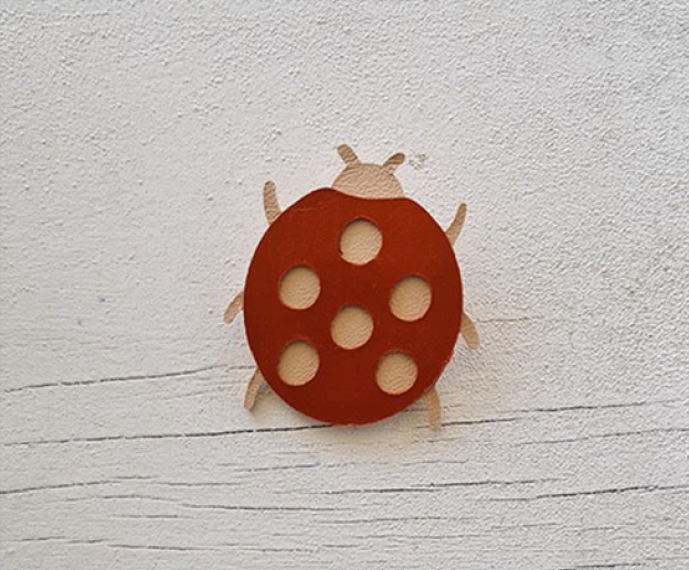 Lady Bug Brooch