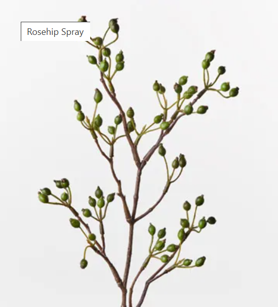 Rosehip Spray 61cm