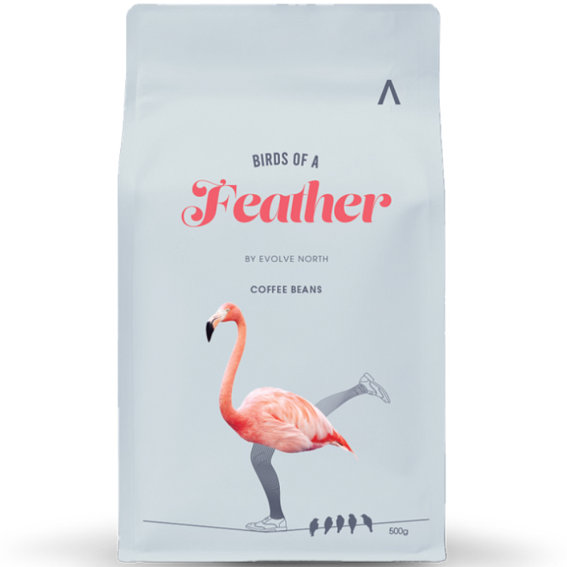 Evolve North Birds Of A Feather Coffee Beans 500g