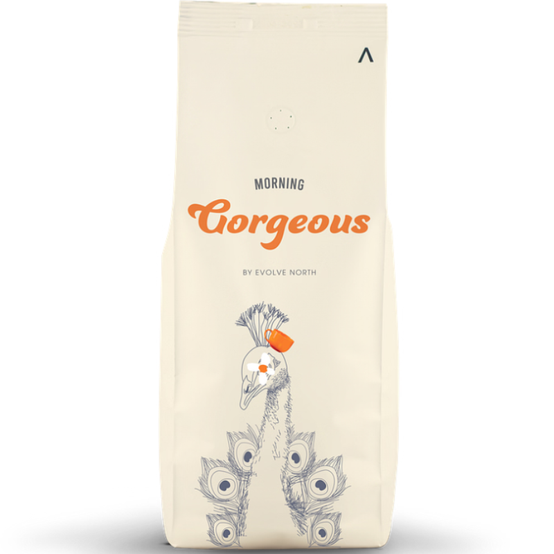 Evolve North Morning Gorgeous Coffee Beans 1kg