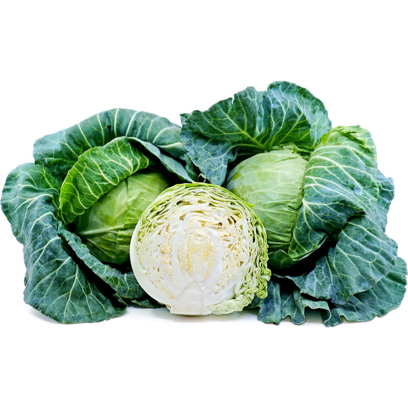 Cabbage - Green | Variety