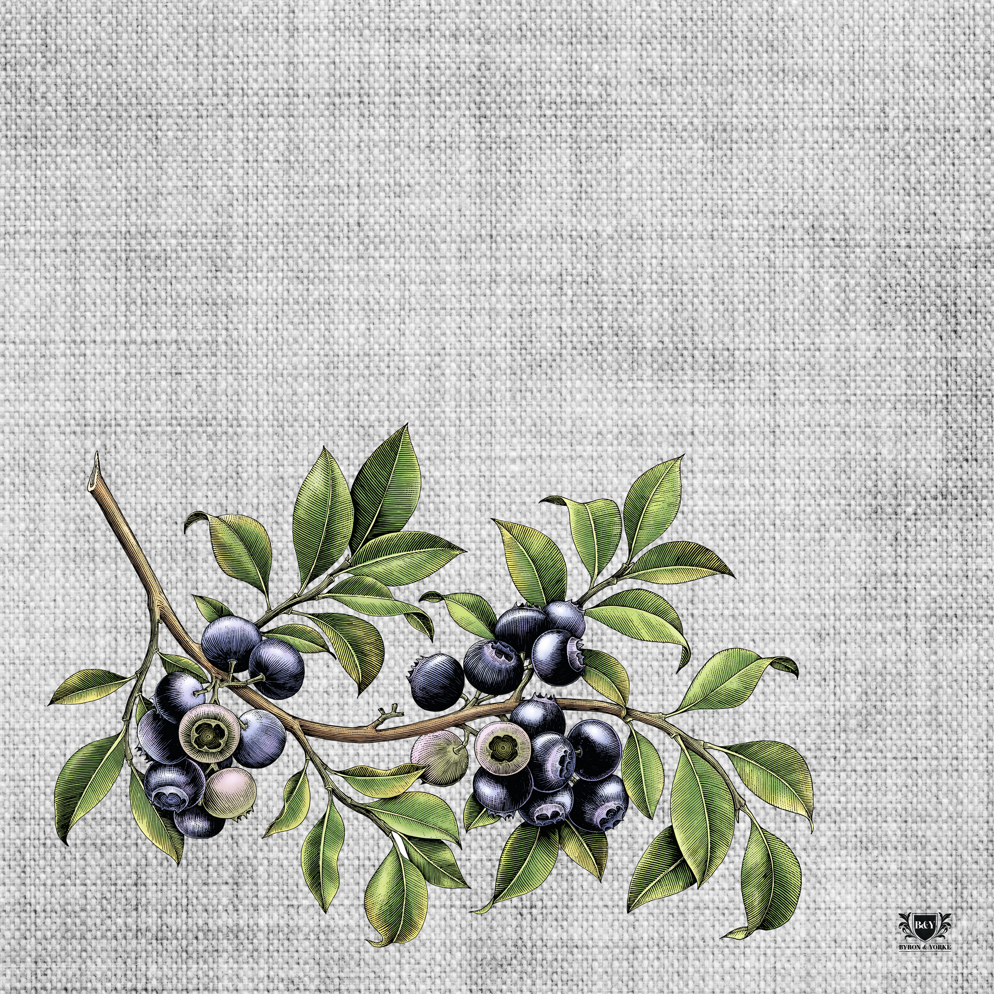 Byron & Yorke Paper Placemat Vintage Weave Grey Blueberries