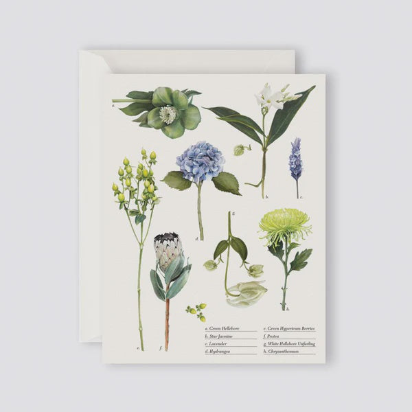 Father Rabbit Stationery Card Botanical Collection