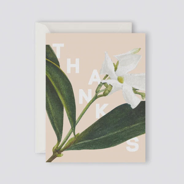 Father Rabbit Stationery Card Jasmine Thanks