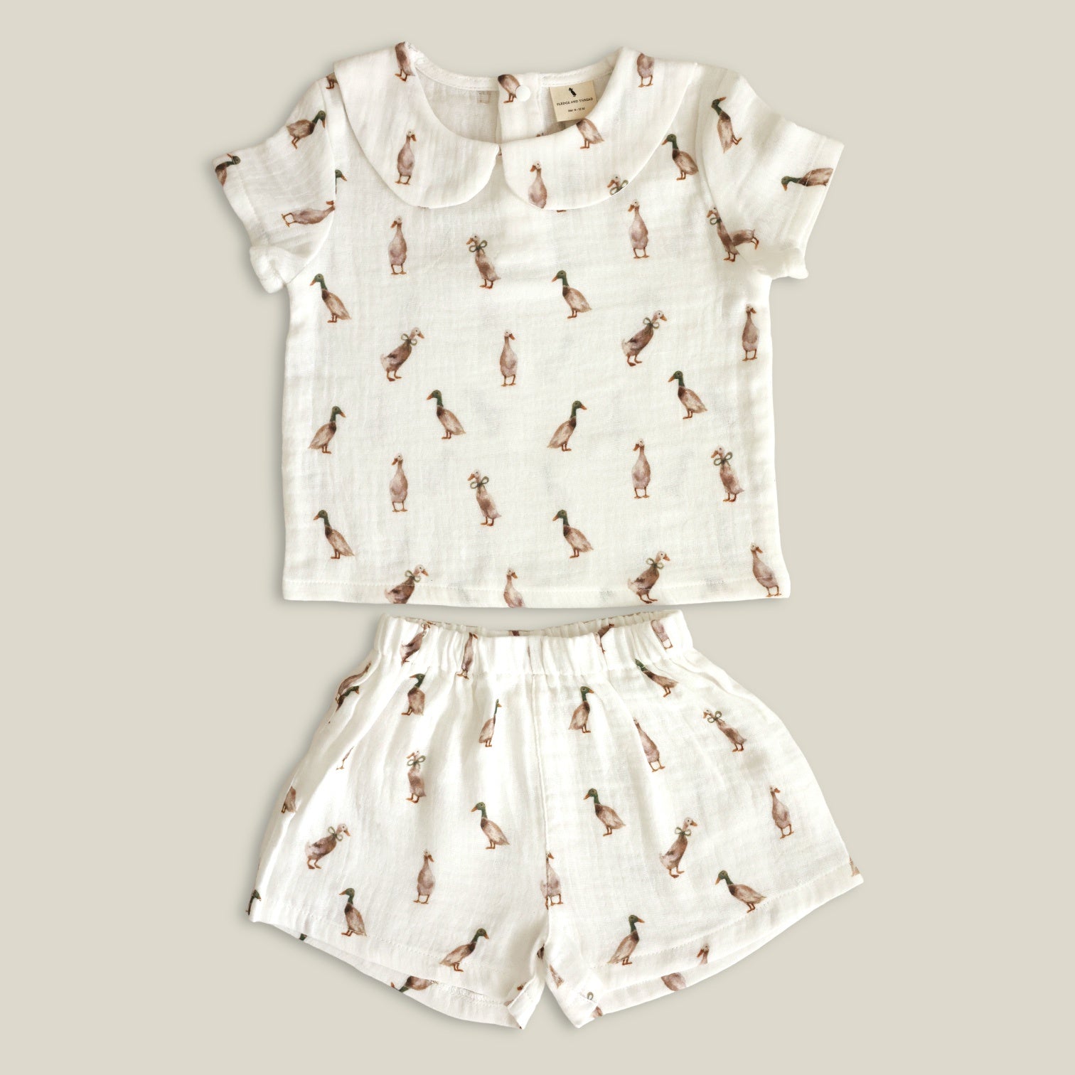 F&T Shirt and Short set Duck 2Y