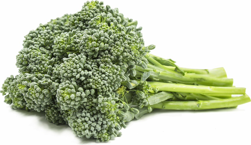 Broccolini