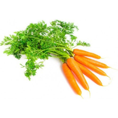 Carrots - Dutch