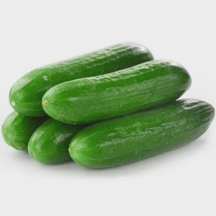 Cucumber - Lebanese- Tray