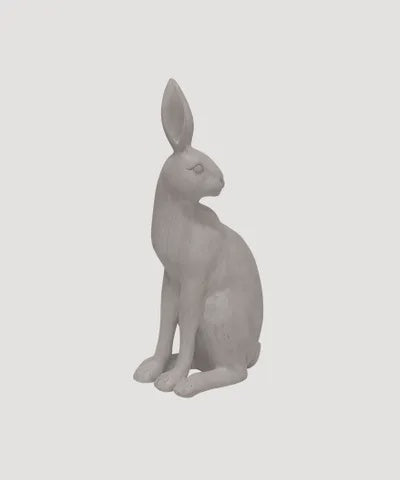 Harold the Hare Turning Grey