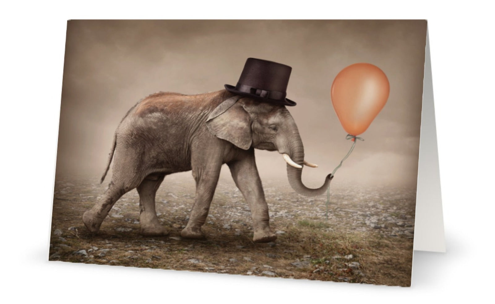 Byron & Yorke Baby Elephant Carnival Card