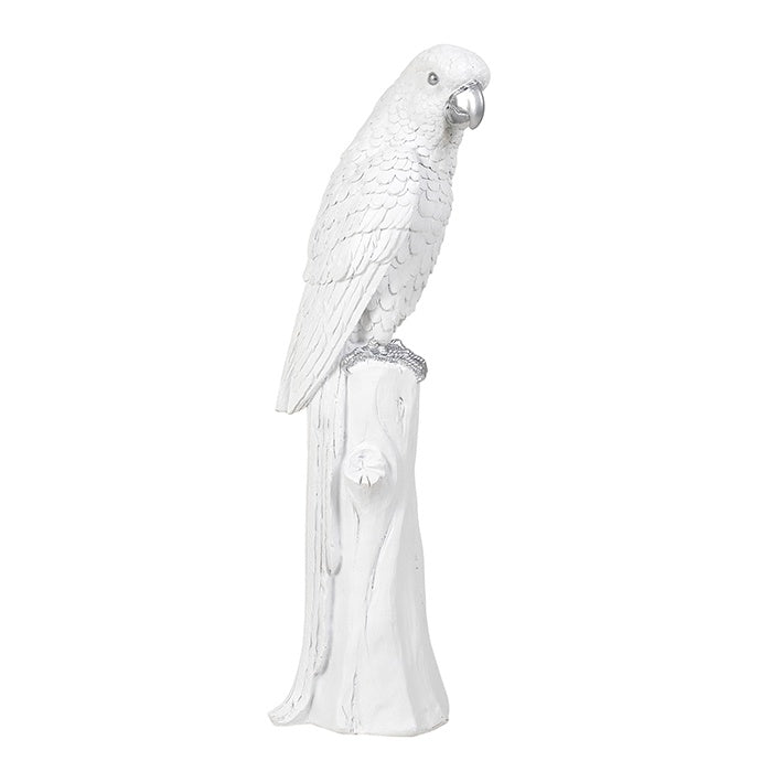Resin White Silver Parrot 54cm high