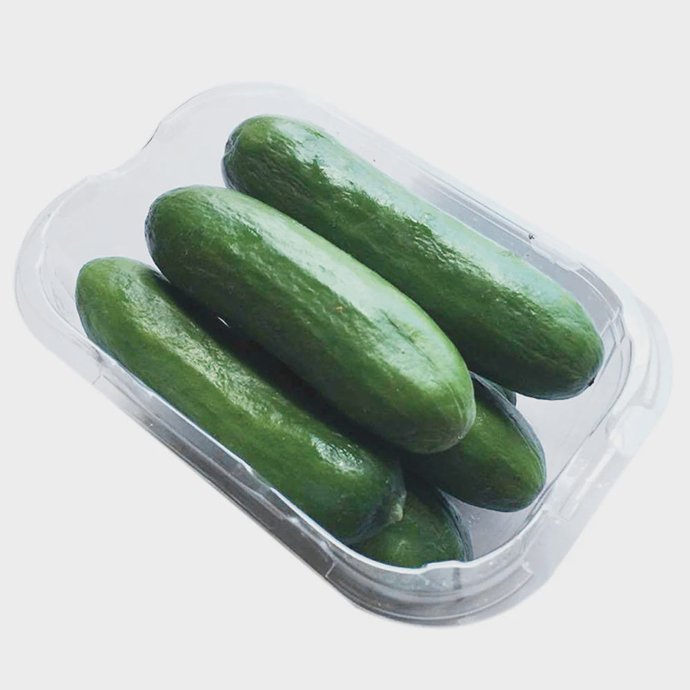 Cucumber - Baby Q's