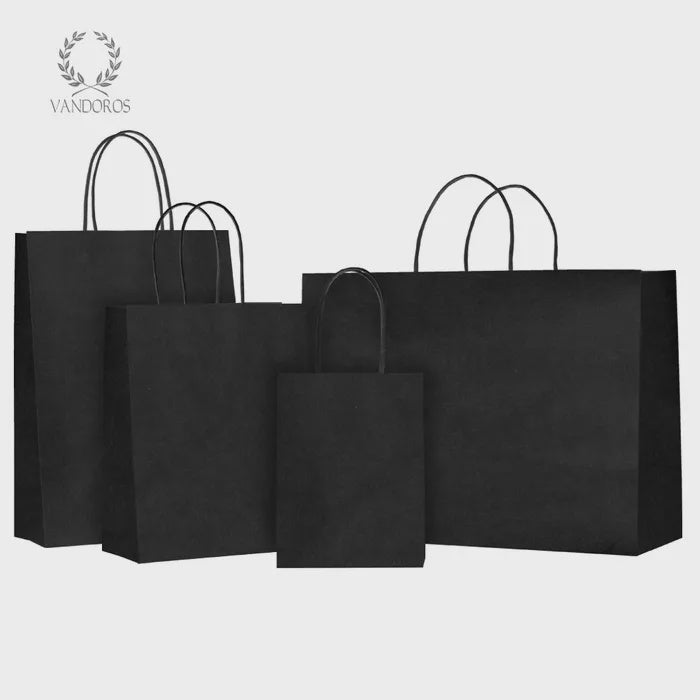 Gift Bag Black Twisted Handle 210x270x110