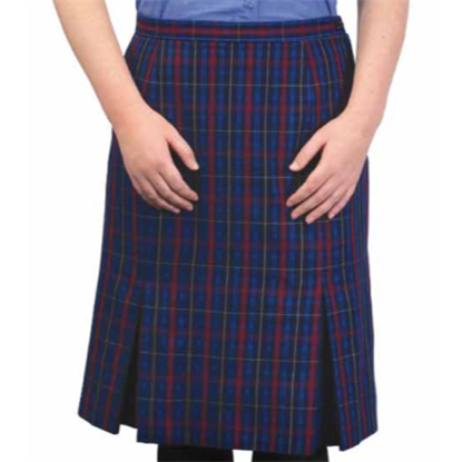 Pleated Skirt Tartan Senior
