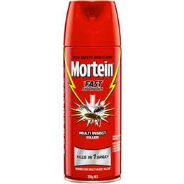 Mortein Insect Spray Fast Knockdown 200g
